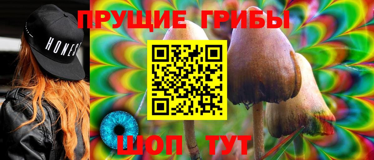 Псилоцибиновые грибы ЛСД Саяногорск